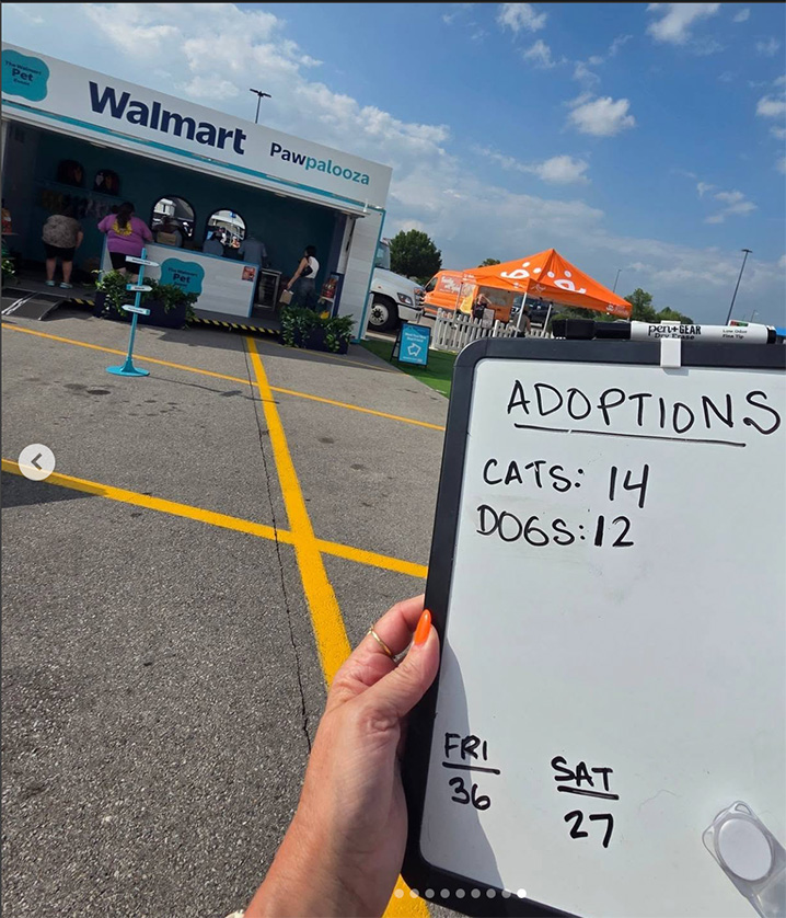 walmart-pet-5